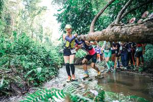 BIB: 
                            <button type="button" onclick="openModal(25471890)" class="btn btn-primary btn-sm float-right btn-popup" data-toggle="modal" data-target=".modal-high-quality">
                        <i class="fas fa-shopping-cart"></i> Add to Cart
                    </button>
                                            <button type="button" onclick="isThisMe(25471890, true)" class="btn btn-success btn-sm float-right btn-popup btn-isme hidden" data-toggle="tooltip" data-placement="bottom" title="นี่คือรูปของคุณใช่ไหม คลิกที่นี่เพื่อเอาเข้าอัลบั้ม">
                        <i class="fas fa-plus"></i> Add to album
                    </button>
                    <button type="button" onclick="isThisMe(25471890, false)" class="btn btn-warning btn-sm float-right btn-popup btn-isnotme hidden">
                        <i class="fas fa-ban"></i> Remove from album
                    </button>